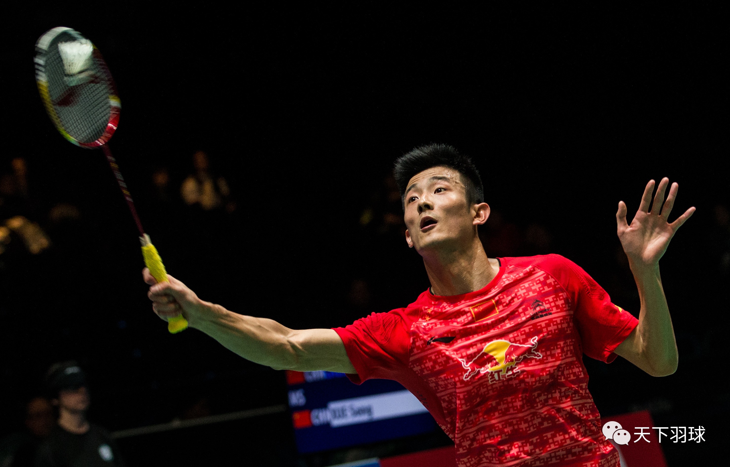 德国国家队全队备战国家队资格赛,全力以赴战胜对手的简单介绍 德国国家队全队备战国家队资格赛,全力以赴战胜对手的简单介绍