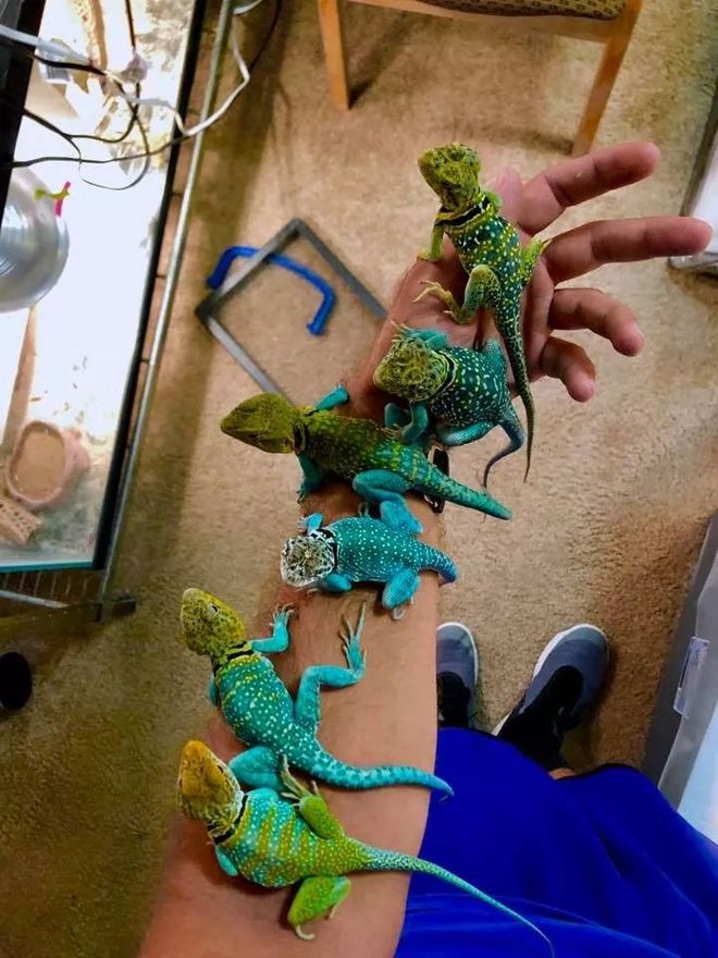 包含欧预赛背后的故事，谁是终结者？的词条